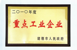 2010年度重點(diǎn)工業(yè)企業(yè)